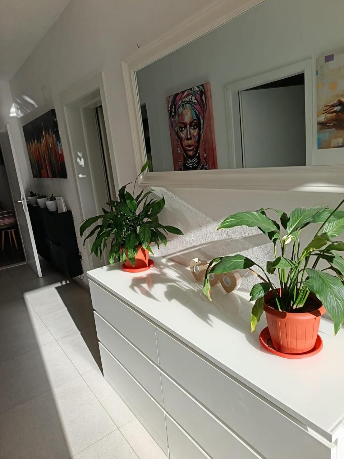 Apartman Marica Trogir Kültér fotó